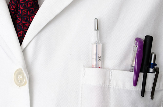 Servicios Profesionales