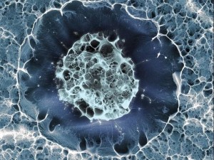 Célula madre vista con microscopia electrónica