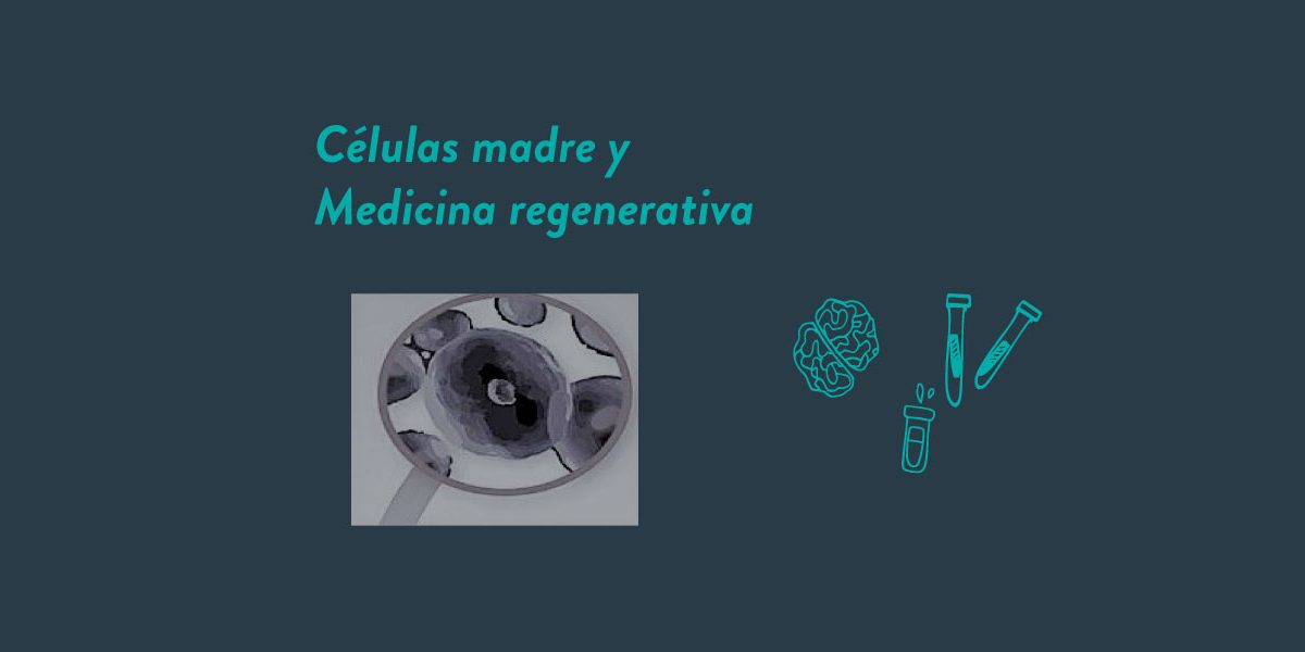 Células-madre-portada