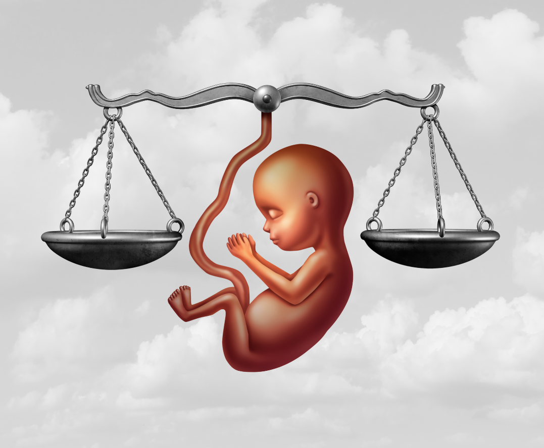 Abortos y Trombofilia - Conferencia Dr. Fariñas | HemoMadrid